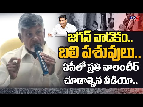 ఛీ నీ సంతకం.. | Chandrababu REVEALED FACTS about CM Jagan How To Using AP Volunteers for His Victory - TV5NEWS