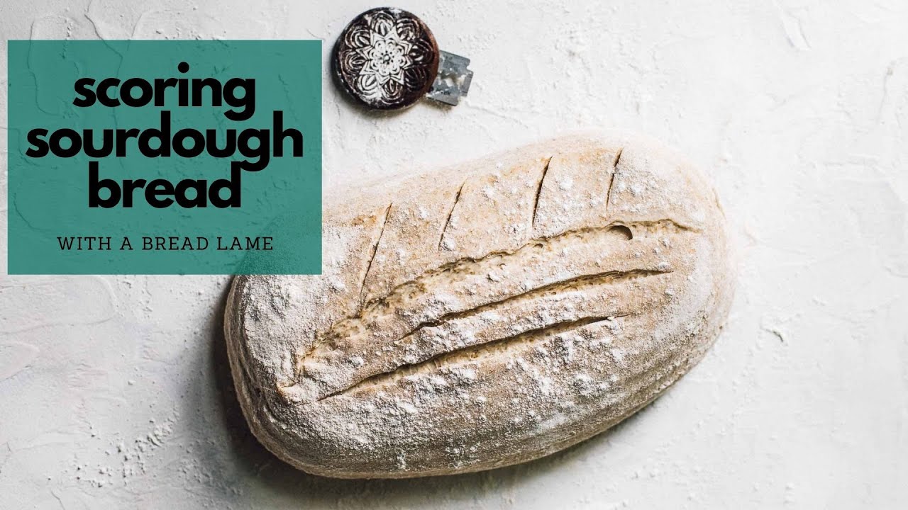 Premium Photo  Rye sourdough on flour sourdough in a container on a wooden  table. fermentation. the hand holds a wooden spatula, the readiness of the  sourdough is checked.