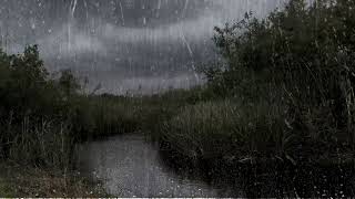 Relaxsound for study  sleep  background #asmr #rain #thunder #wind #cozy