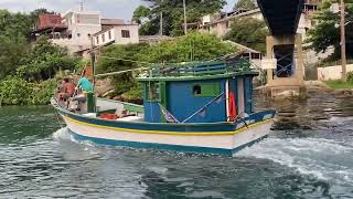 Barcos de pesca em plena velocidade pelo Porto!