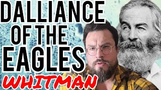 Dalliance of the Eagles by Walt Whitman Analysis, Meaning Explained Review, Summary