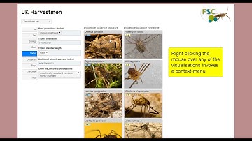 FSC Identikit: tour of the multi-access keys