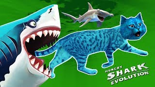 ГИГАНТСКАЯ АКУЛА МЕГАЛОДОН ЕСТ ВСЕХ ПОДРЯД / СИМУЛЯТОР АКУЛЫ / Hungry Shark Evolution / КОТЁНОК ЛАЙК