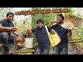 How They Collect Honey From Forest | மரத்தேன் பொந்துத்தேன் Etc.. | Food Exploring with Jb…
