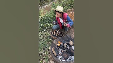 Roasted pine nuts have a delicious nutty flavor #reels #satisfying #shorts #top #happy #life