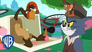 Мульт Tom Jerry Goose on the Loose WB Kids