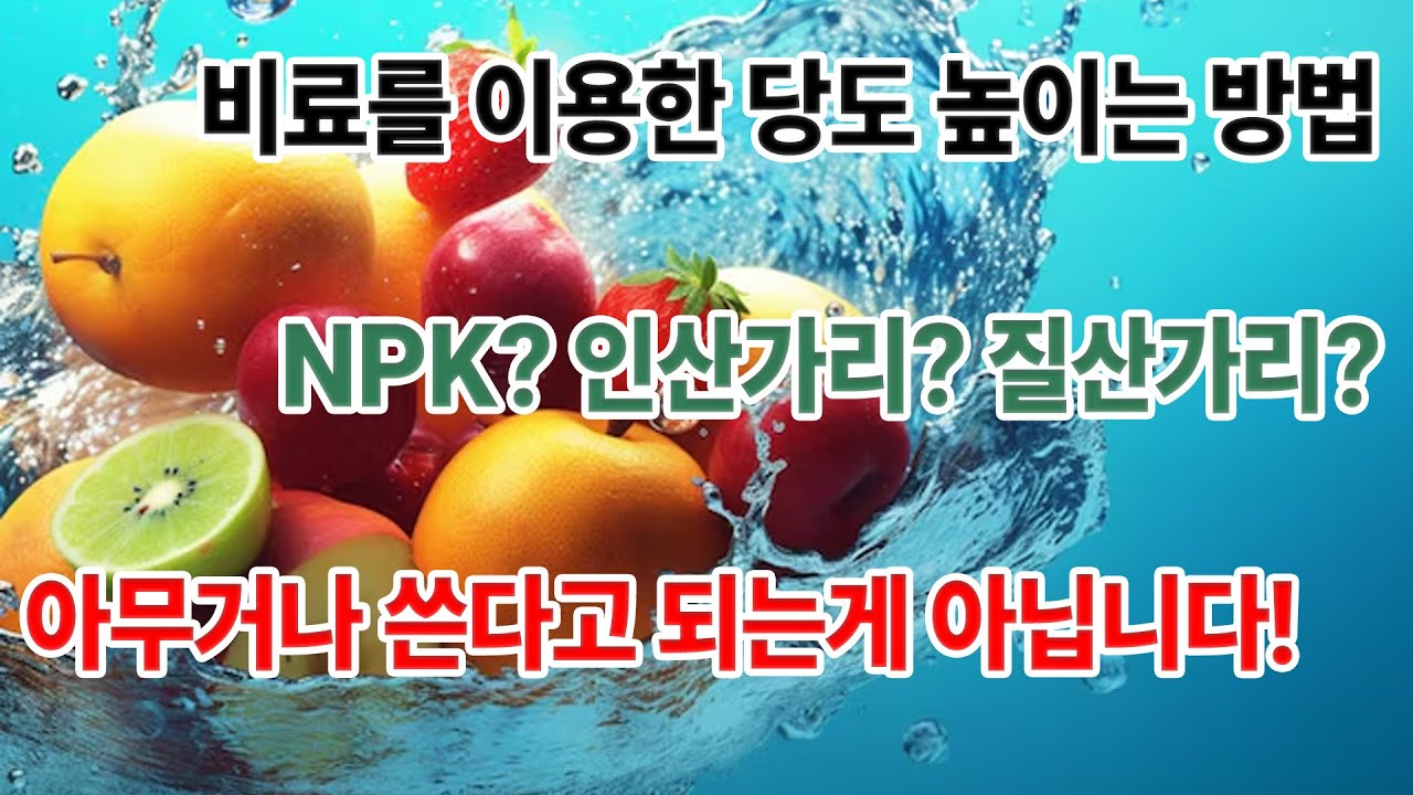 과일의 당도 올리는 방법은??