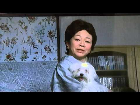 華麗なる一族 映画 京マチ子 山崎豊子