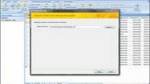 Access 2007-Exportación de datos