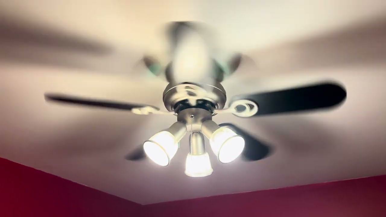 Hampton Bay San Marino Ceiling Fan in my Parent’s House (High Quality Retake) | ECFE