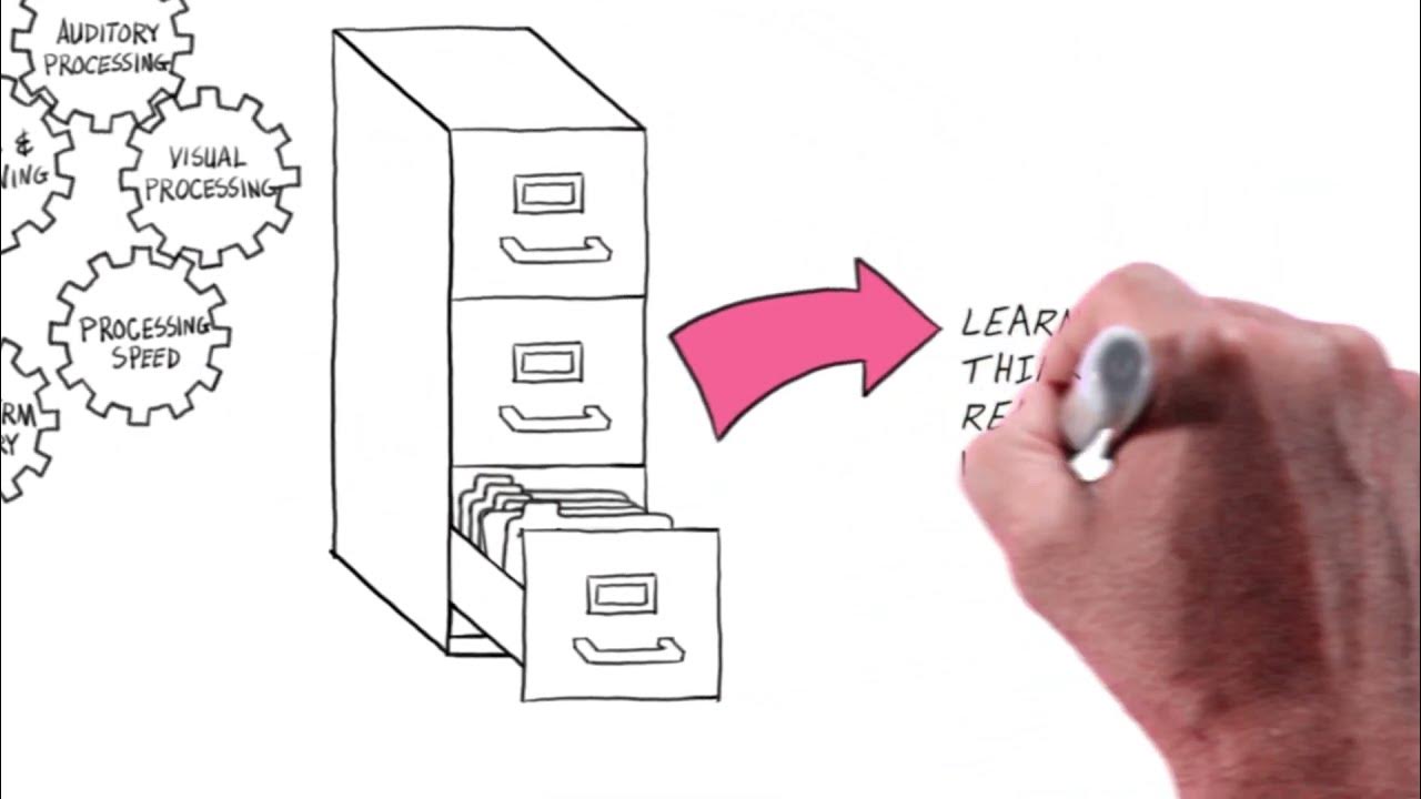 What is Brain Training? The Best Brain Training Focuses on THESE 7