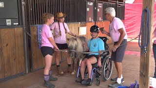 Local nonprofit making a difference in community through equine therapy