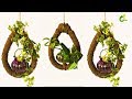 money plant growing style/ pvc pipe ideas /coir stick different shape/money plant/organic garden