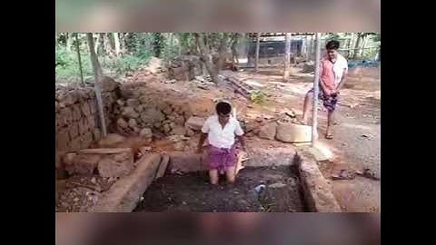 Walking In Cow Dung  Pit