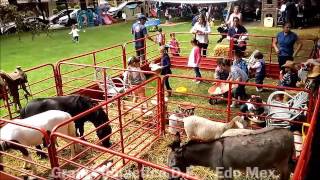 GRANJA DIDACTICA.  Fiestas  infantiles. D.F. y Estado de México.