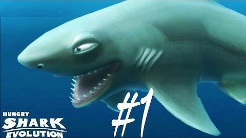 Hungry Sharks Evolution (Reef Shark) pc part 1