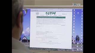 Employing SCOPE to detect possible regulatory motifs in co-regulated genes screenshot 4