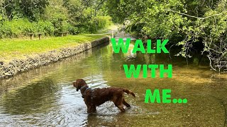 Come walk with my Irish setter puppy and I in the English countryside | No talking | ASMR | Nature