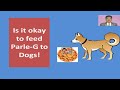 क्या Dog को Parle-G biscuit, रोटी खिलाना सही है? Grain free dog food क्या है!