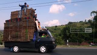 🔴 Tik Tok Petani Tembakau II Story WA 30 Detik Keren Rigen Balap Hanya Ada Di Temanggung