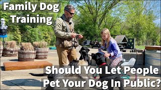 Should You Let People Pet Your Dog In Public?