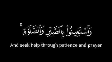أَتَأمُرونَ النّاسَ بِالبِرِّ || كروما قران كريم شاشة سوداء || احمد بن طالب
