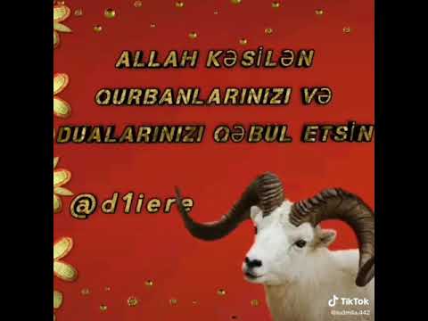 Qurban bayraminiz mubarek!