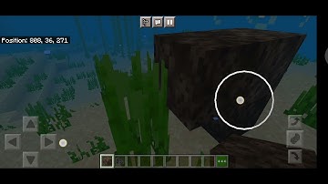 MAKING WITHER UNDERWATER WHAT HAPPENS?