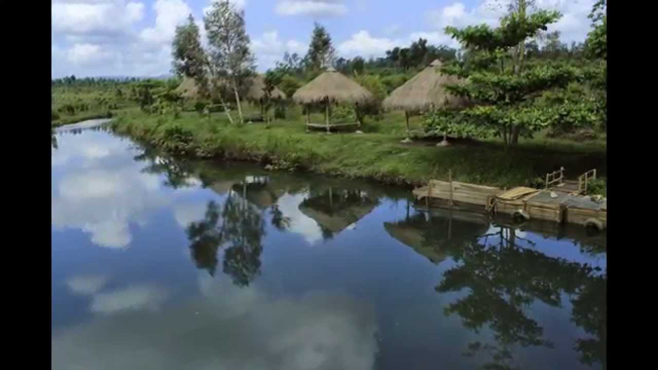 Wisata Pemancingan Dan Perikanan By Jogja Jagja