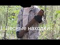 Коп по войне. Бессарабские леса. Military metal search. Bessarabian forests.