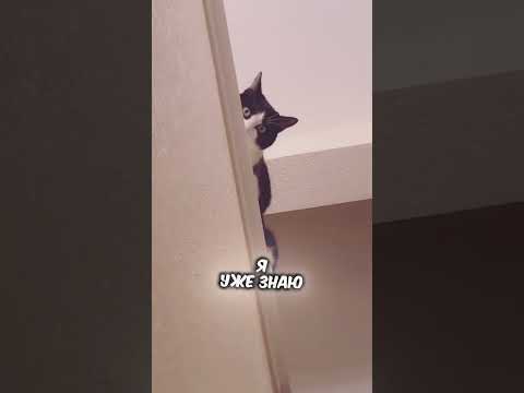 3 вещи которых ты не знал обо мне человек