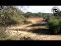 Охота в Африке (Намибия март 2013) - Hunting in Namibia.