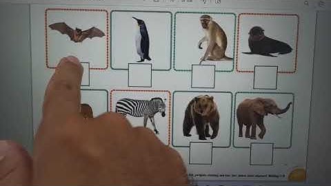 HOMEWORK - UNIT 8 LESSON 1 - MY LITTLE ISLAND 3