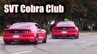 Mustangs leaving SVT Cobra Club ★ Parkway Ford Show 2015 (2 of 3)
