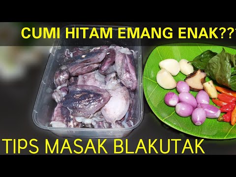 Video: Cara Memasak Sotong