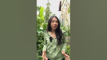 Avoid Plant Shock: Tips for Relocating Your Plants