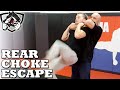 How to Escape a Standing Rear Choke w/ Bas Rutten