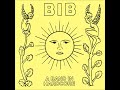 Bib  a band in hardcore full album