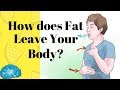 How does Fat leave the body? (Myth Busted) | SmartnSuper