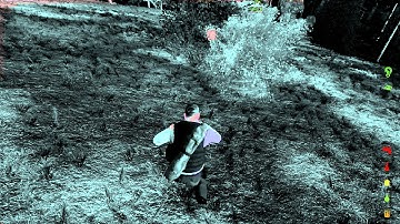 NVIDIA GeForce Shadowplay test. (DayZ Epoch)