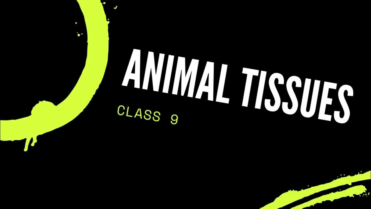 ANIMAL TISSUE CLASS 9 NOTES - YouTube