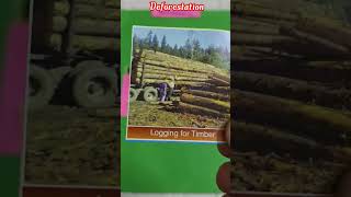 Deforestation - Causes and Effects