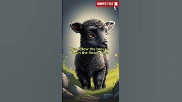 Thumbnail of Little Black Lamb #shorts Song