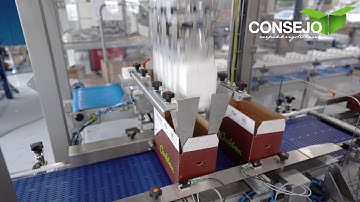 Consejo - pick and place machine - Consejo PP20