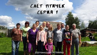 Слёт птичек | Серия 1 I 2019 год