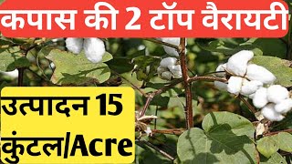 कपास की टॉप 2 वैरायटी उत्पादन 15 कुंटल/Acre । Top cotton variety for 2021। Narma ki top variety