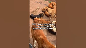 Click the link in our channel description to support. Every pledge is truly appreciated!