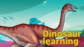 Dinosaur Gallimimus Collection | What is this dinosaur? | herbivorous dinosaur Gallimimus |공룡 갈리미무스
