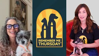 Remember Me Thursday® SpokesTeam Andie MacDowell, Rainey Qualley encourage pet adoption by Helen Woodward Animal Center 164 views 7 months ago 1 minute, 57 seconds