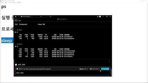25 11 09, 인프라 기초, Bash 명령어, 22강, `kill` (프로세스 종료)